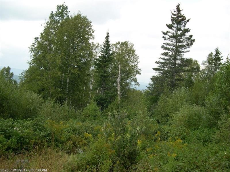 Lot 23 Moose Ridge RD, Dallas Plt, ME 04970