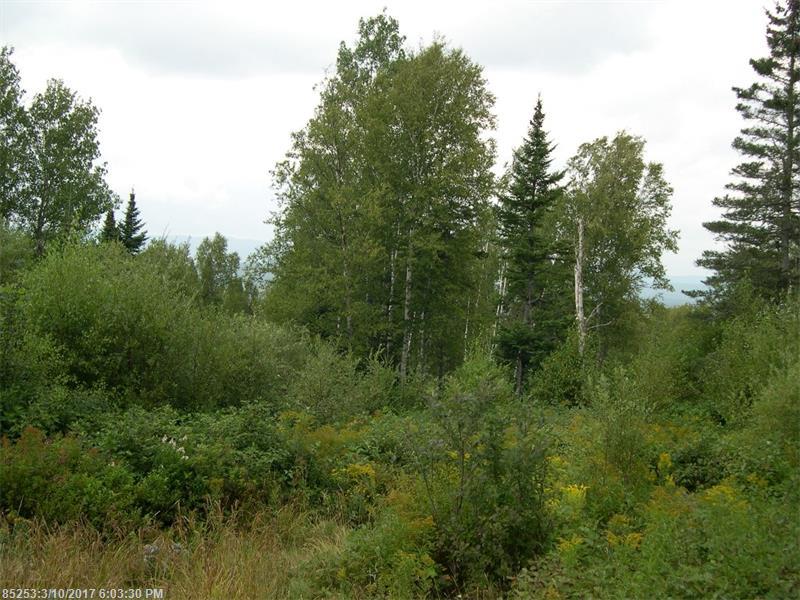 Lot 23 Moose Ridge RD, Dallas Plt, ME 04970