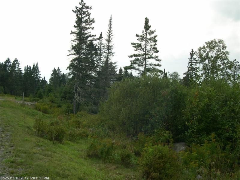 Lot 23 Moose Ridge RD, Dallas Plt, ME 04970