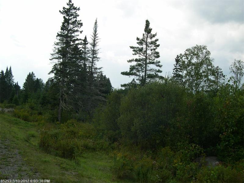 Lot 23 Moose Ridge RD, Dallas Plt, ME 04970