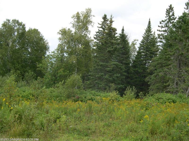 Lot 23 Moose Ridge RD, Dallas Plt, ME 04970