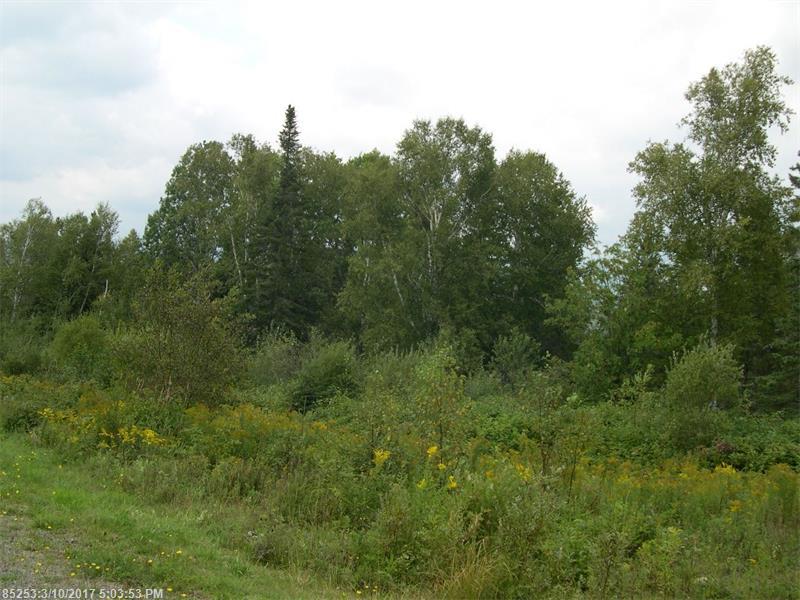 Lot 25 Moose Ridge RD, Dallas Plt, ME 04970