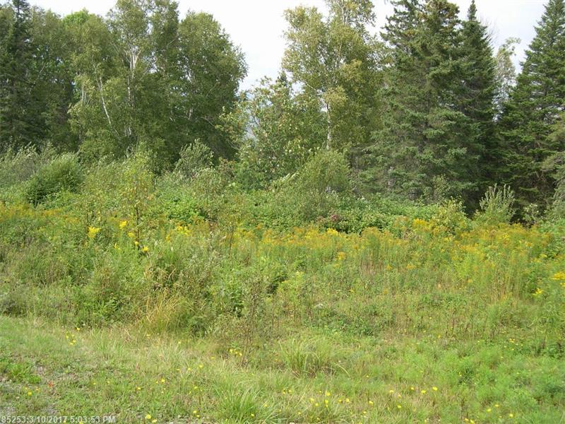 Lot 25 Moose Ridge RD, Dallas Plt, ME 04970