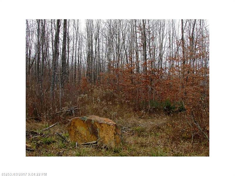 M12L7-1 Bigelow Hill RD, Skowhegan, ME 04976