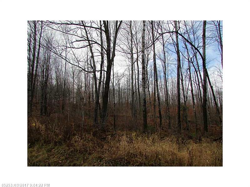 M12L7-1 Bigelow Hill RD, Skowhegan, ME 04976
