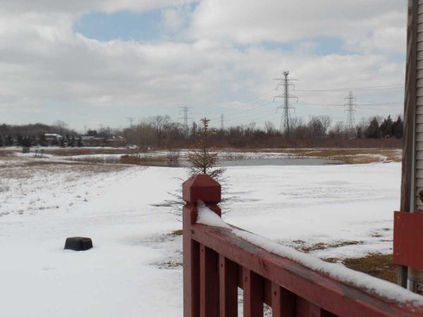 Tanglewood Village 25802 ConneryFlat Rock, MI 48134