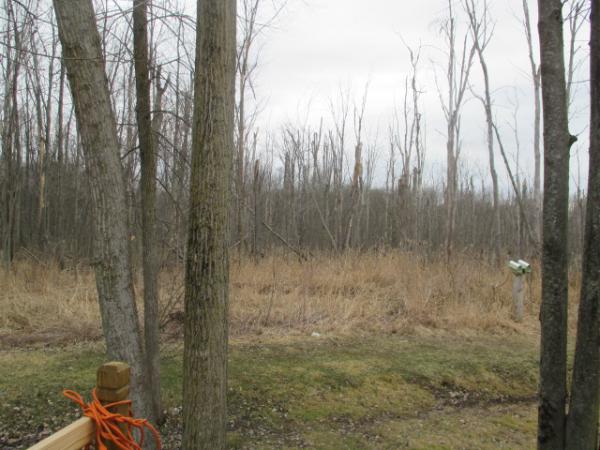 Plymouth Hills 14259 Roosevelt CtPlymouth, MI 48170