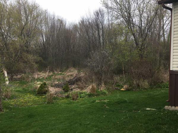 Plymouth Hills 50384 ChesterPlymouth, MI 48170