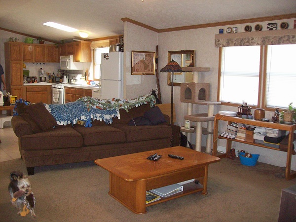 Huron Estates 27530 Versailles Ln., #525Romulus, MI 48174