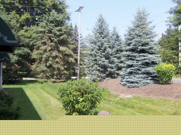 Woodland Ridge 11018 Woodland Ridge CtSouth Lyon, MI 48178