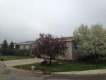 322 LAUREL OAK LN