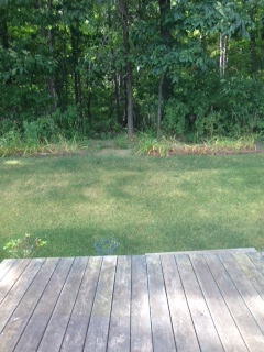Hartland Meadows 13390 Denver DriveHartland, MI 48353