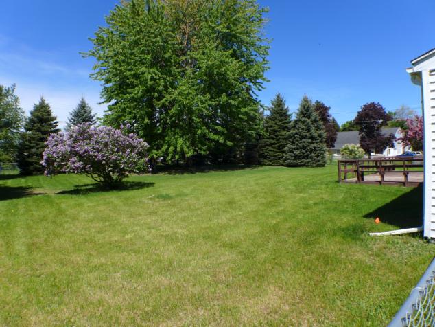 302 North Carole DrElsie, MI, 48831Clinton County