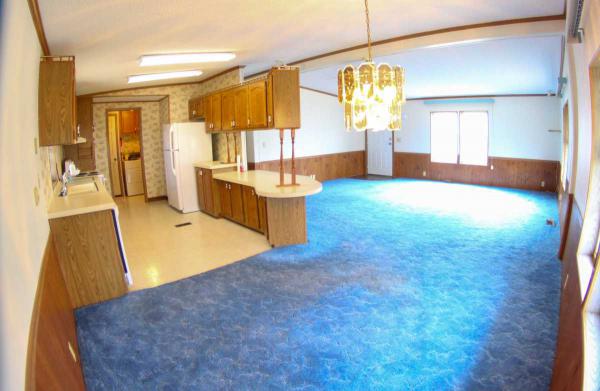 Cadgewith Farms209 Banberry NorthLansing, MI 48906