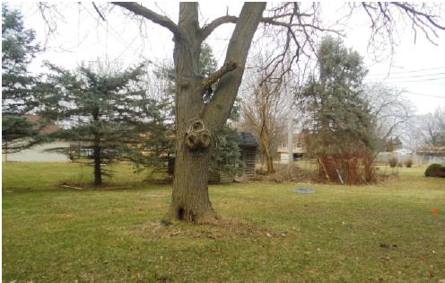 2020 Webster RdLansing, MI, 48917Eaton County