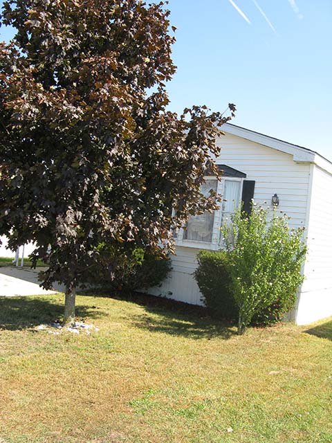 Cider Mill Village 885 Wickwood Way #127Middleville, MI 49333