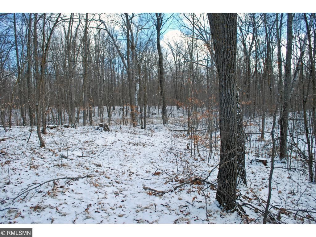 xxx Pine View Beach Trail, Brook Park, MN 55007