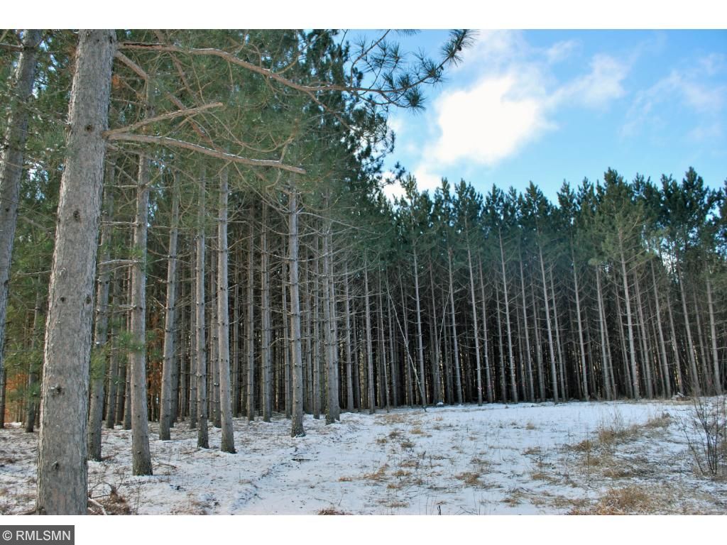 29901 Pine View Beach Drive, Brook Park, MN 55007