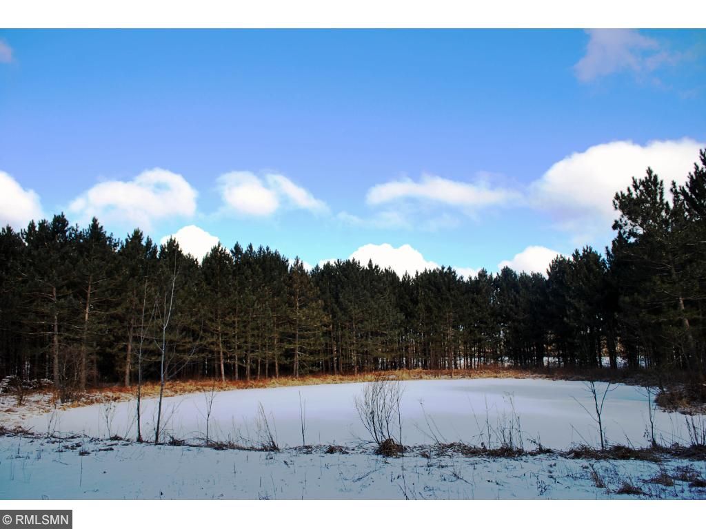 29901 Pine View Beach Drive, Brook Park, MN 55007