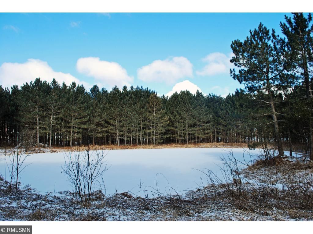 29901 Pine View Beach Drive, Brook Park, MN 55007