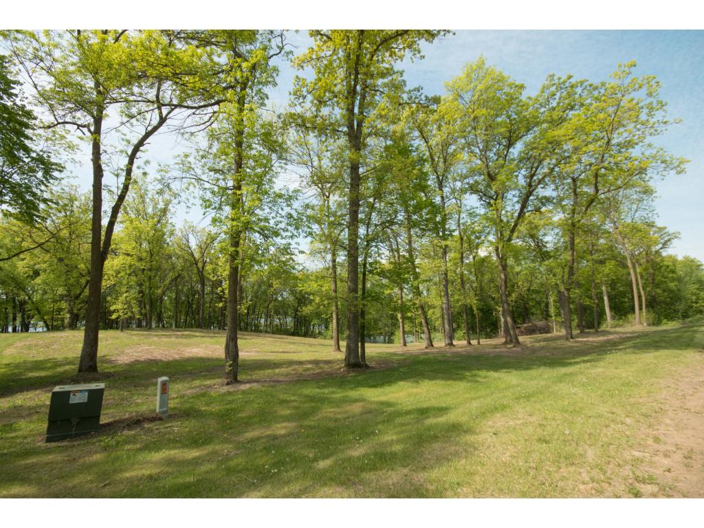 xxxD 337th Street NW, Springvale Twp, MN 55008