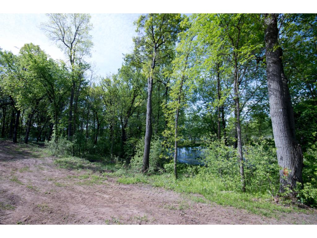 xxxD 337th Street NW, Springvale Twp, MN 55008