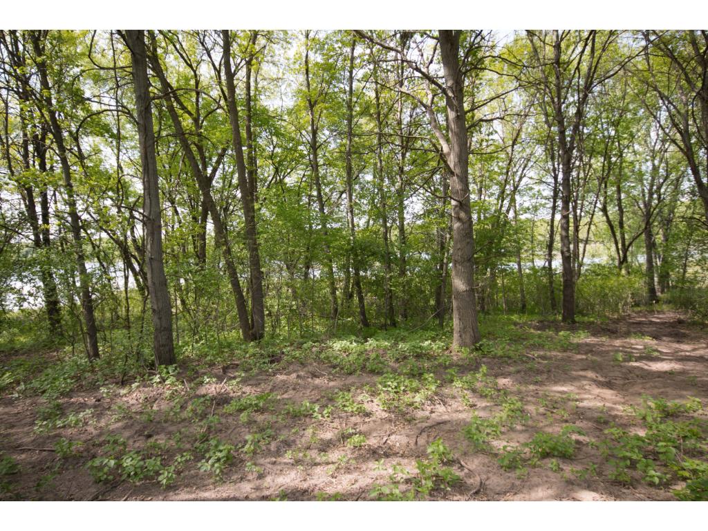 xxxD 337th Street NW, Springvale Twp, MN 55008