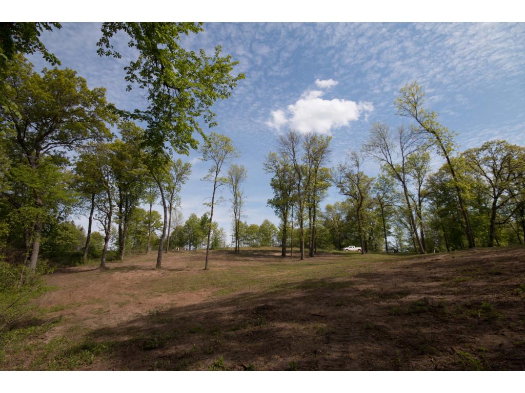 xxxD 337th Street NW, Springvale Twp, MN 55008