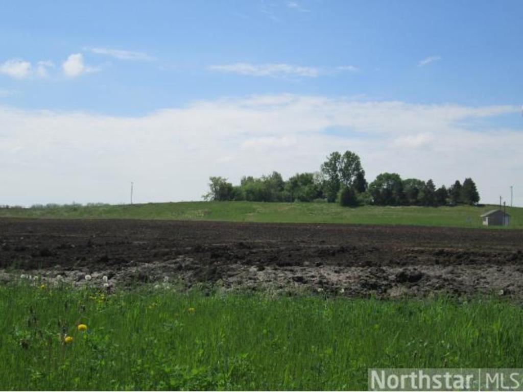 1221 Bluff Street, Dundas, MN 55019