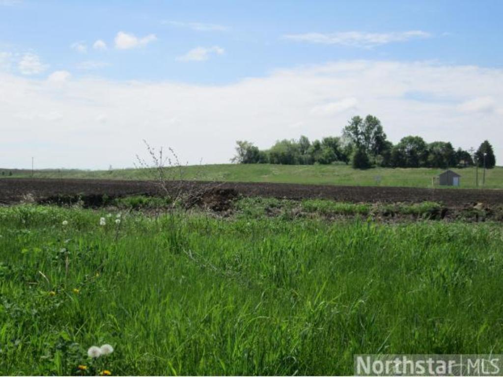 1237 Bluff Street, Dundas, MN 55019