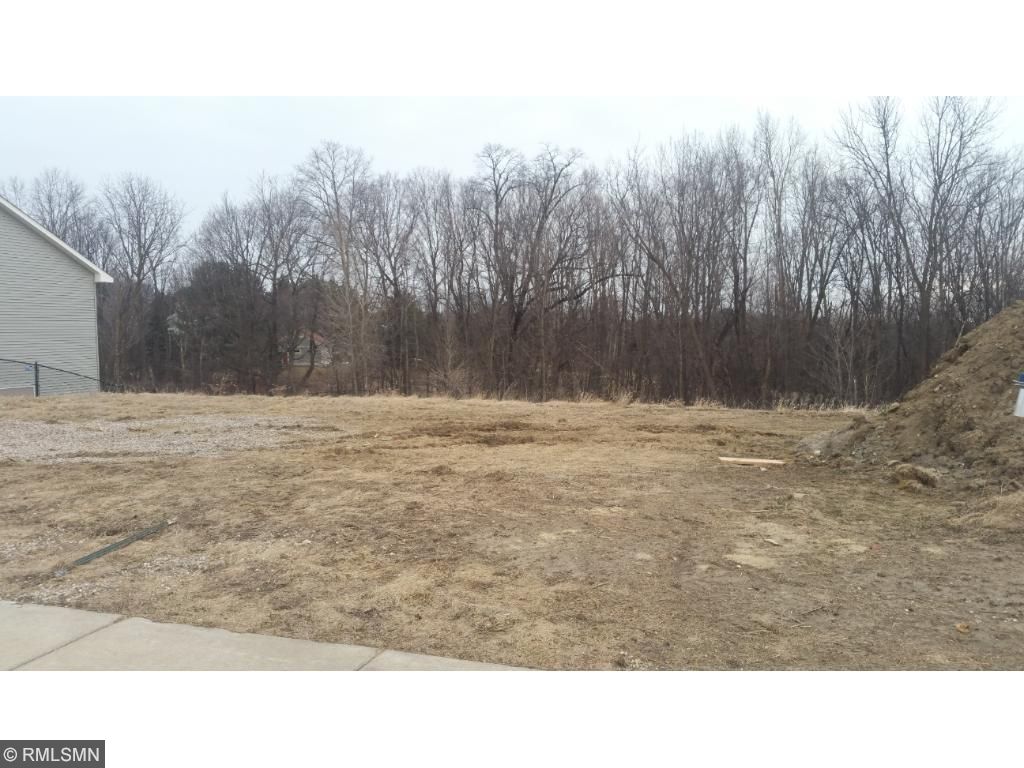 1218 Bluff Street, Dundas, MN 55019
