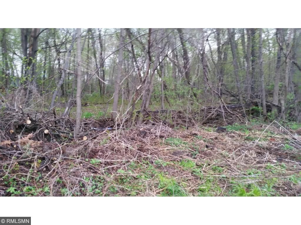 Lots 1-6 North Shore Circle, Forest Lake, MN 55025