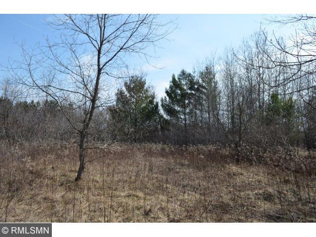 XXX Cambridge Lane, Harris, MN 55032