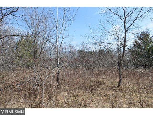 XXX Cambridge Lane, Harris, MN 55032