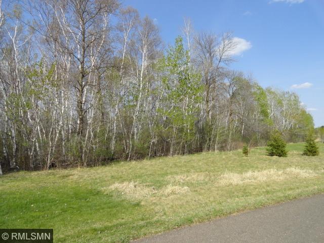 Xxx Carriage Hills, Hinckley, United States 55037