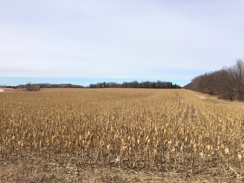xxxx NW 301st Avenue, Bradford Twp, MN 55040