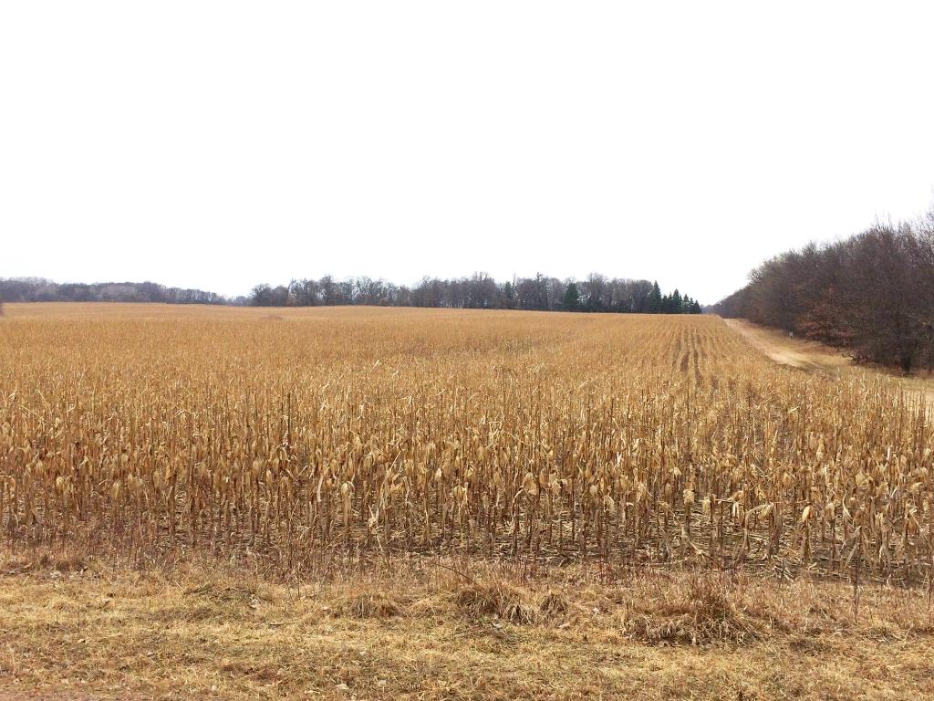 xxxx NW 301st Avenue, Bradford Twp, MN 55040