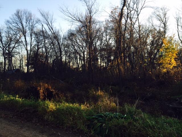 XXXX 296th Avenue NW, Bradford Twp, MN 55040