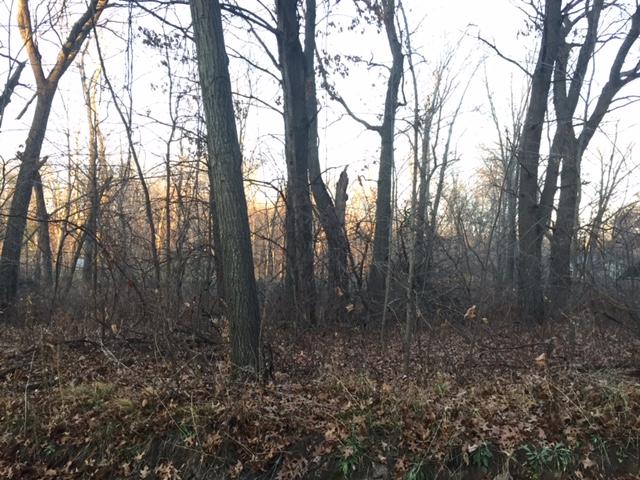 XXXX 296th Avenue NW, Bradford Twp, MN 55040