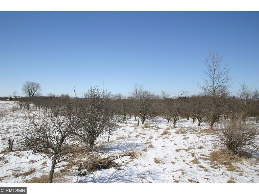 xxx 302nd Avenue, Lake Twp, MN 55041