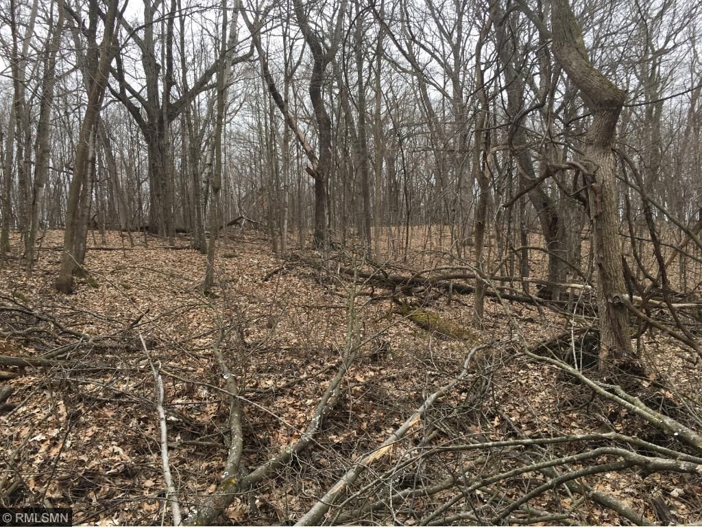 Xxx Que Avenue, Franconia Twp, MN 55045