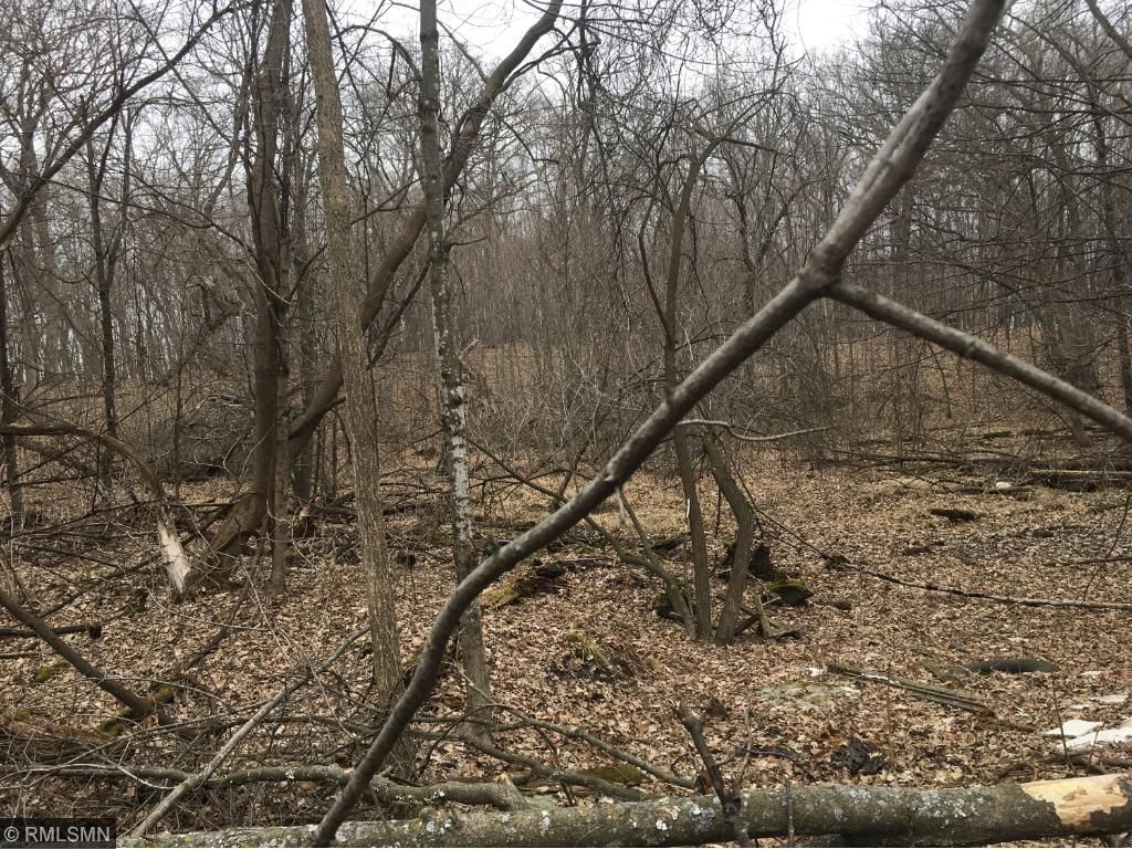Xxx Que Avenue, Franconia Twp, MN 55045