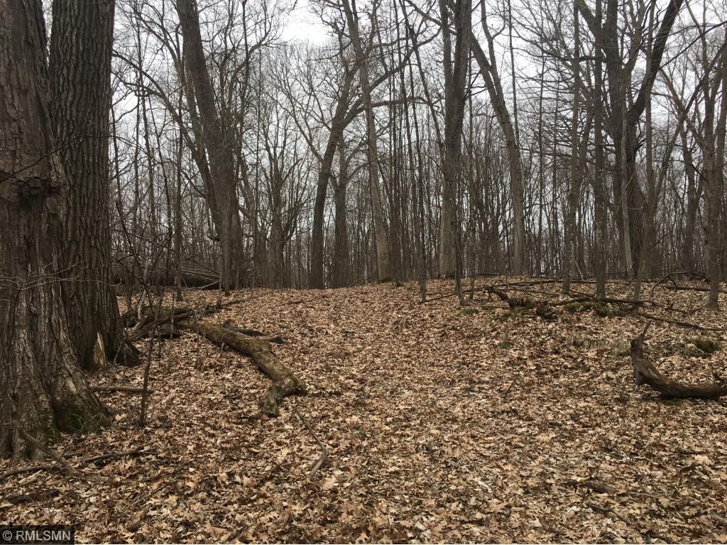 Xxx Que Avenue, Franconia Twp, MN 55045