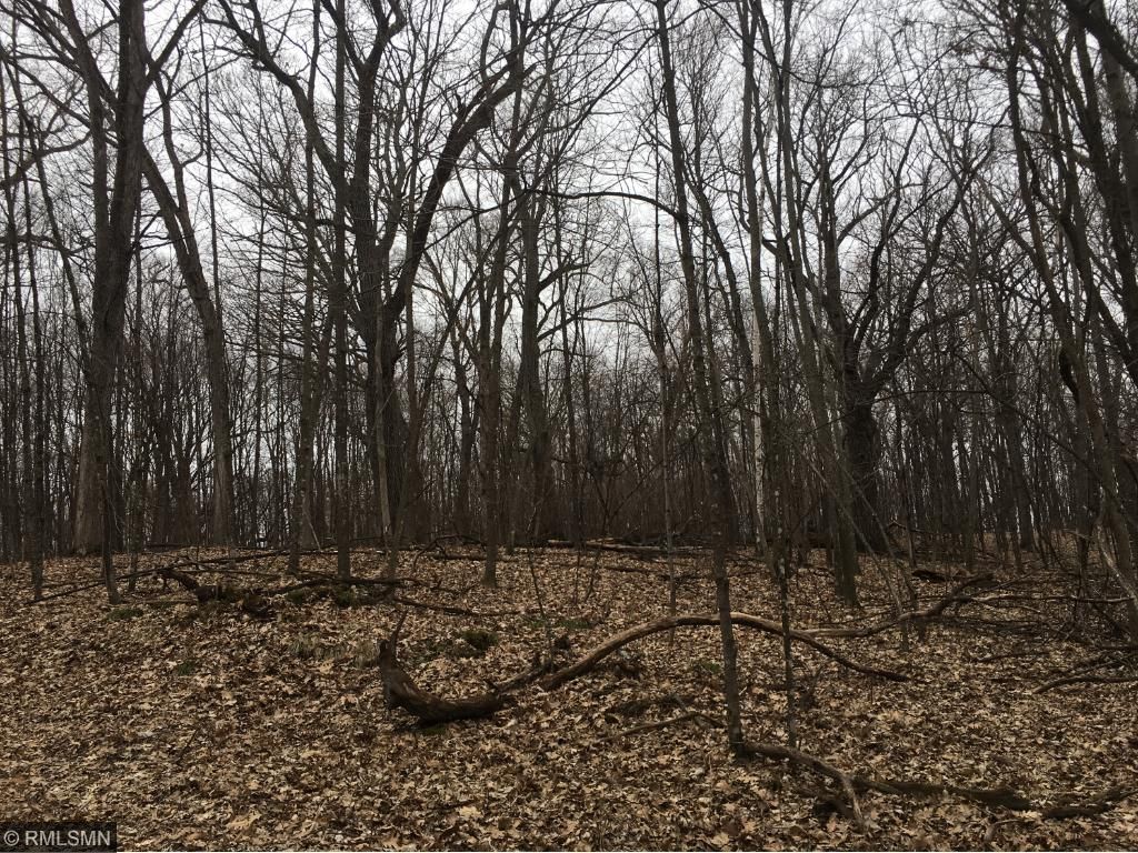 Xxx Que Avenue, Franconia Twp, MN 55045
