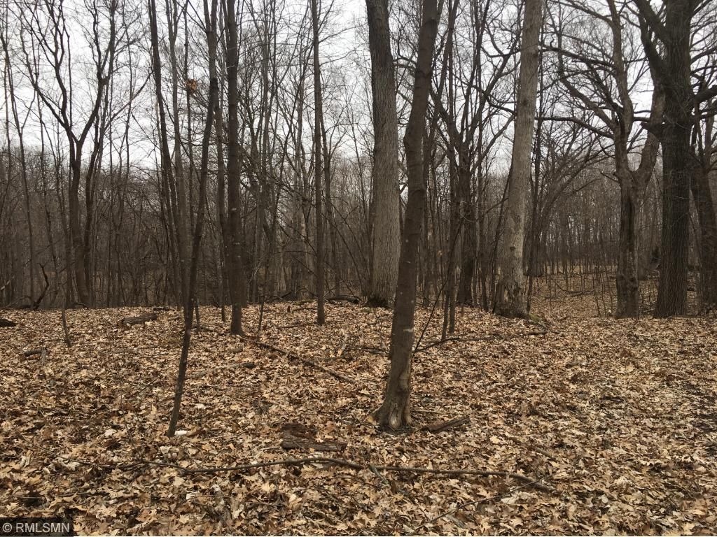 Xxx Que Avenue, Franconia Twp, MN 55045
