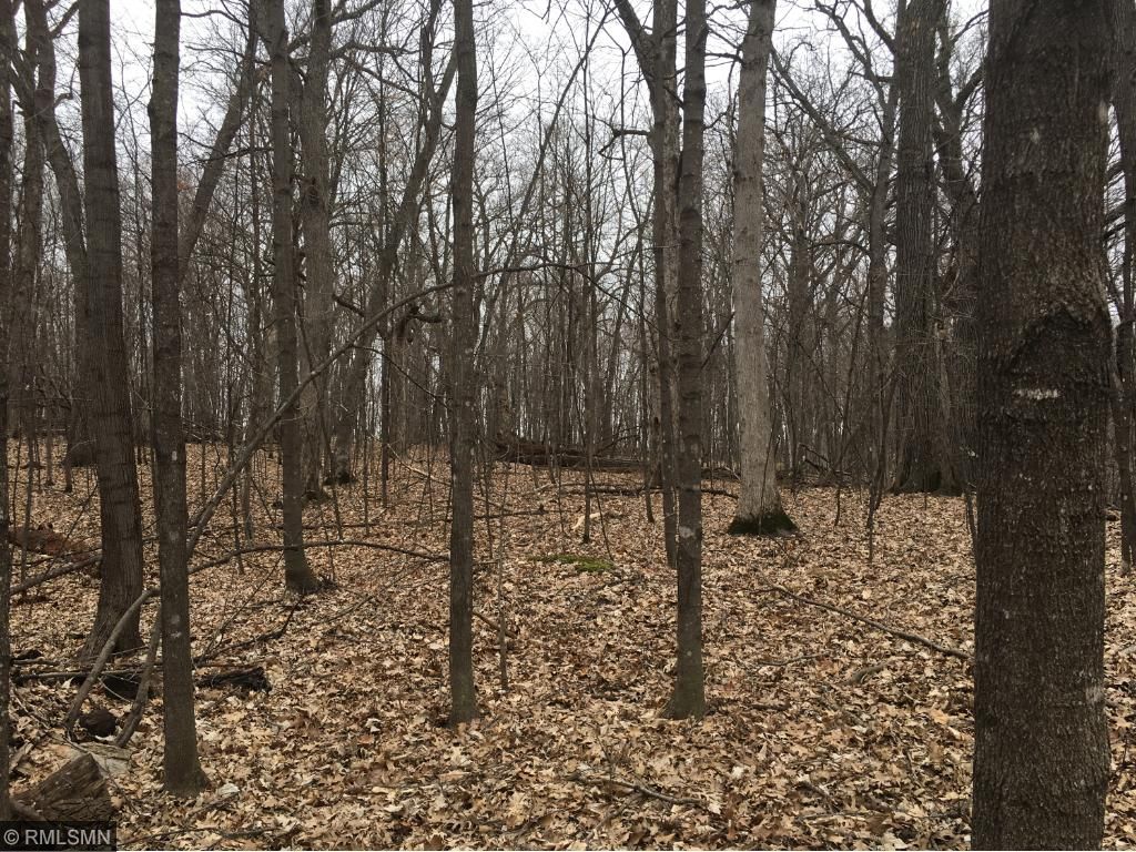 Xxx Que Avenue, Franconia Twp, MN 55045