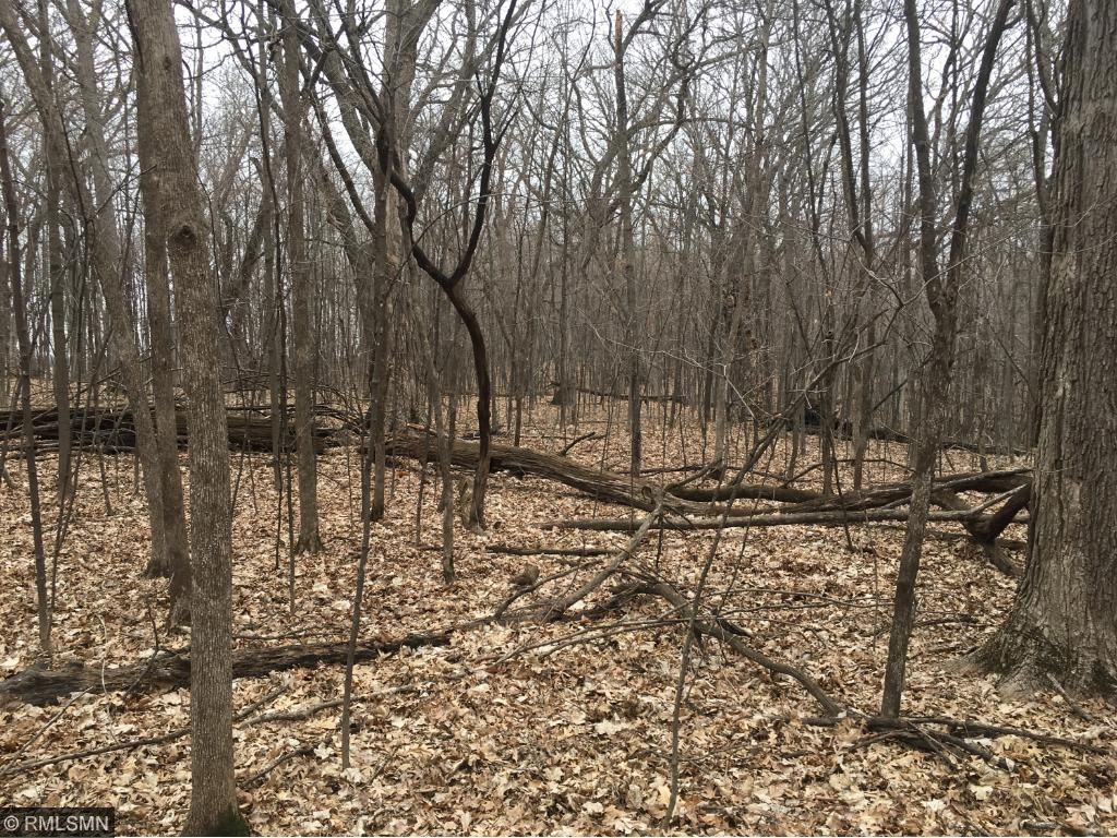 Xxx Que Avenue, Franconia Twp, MN 55045