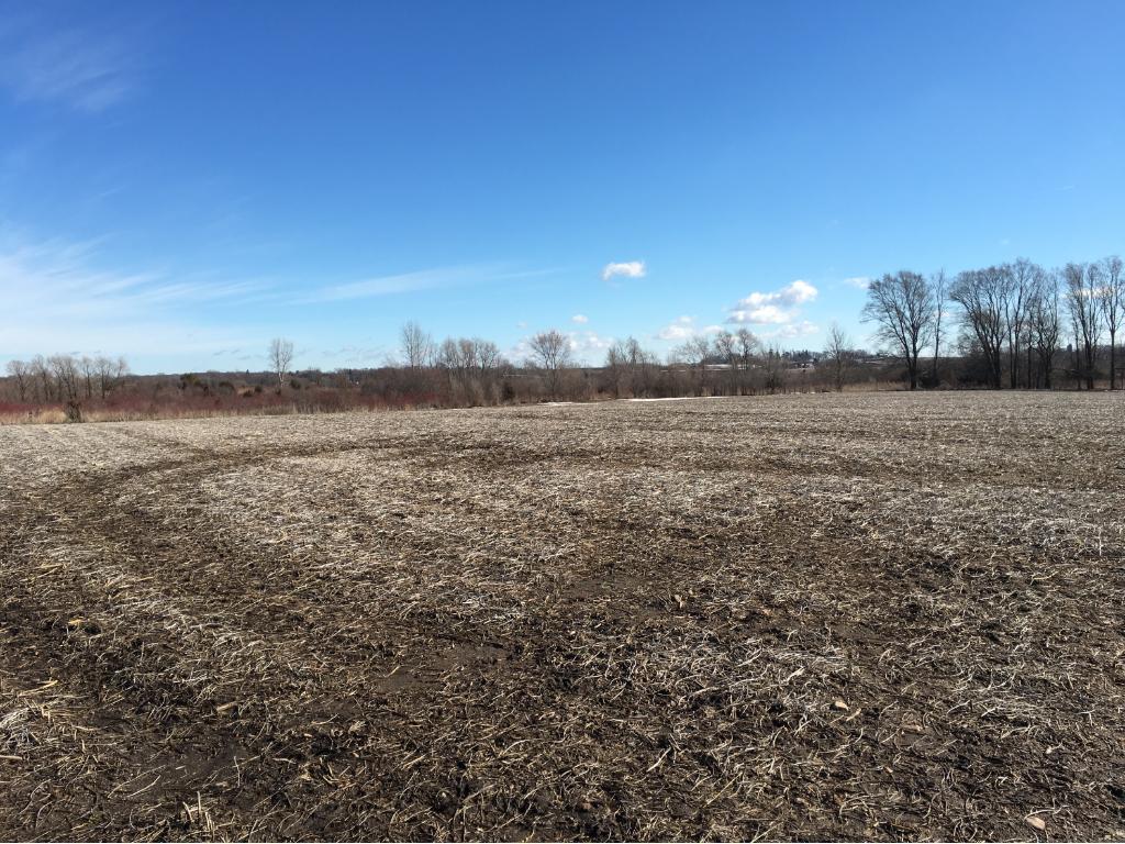 236RXXX Harris Trail, Morristown, MN 55052