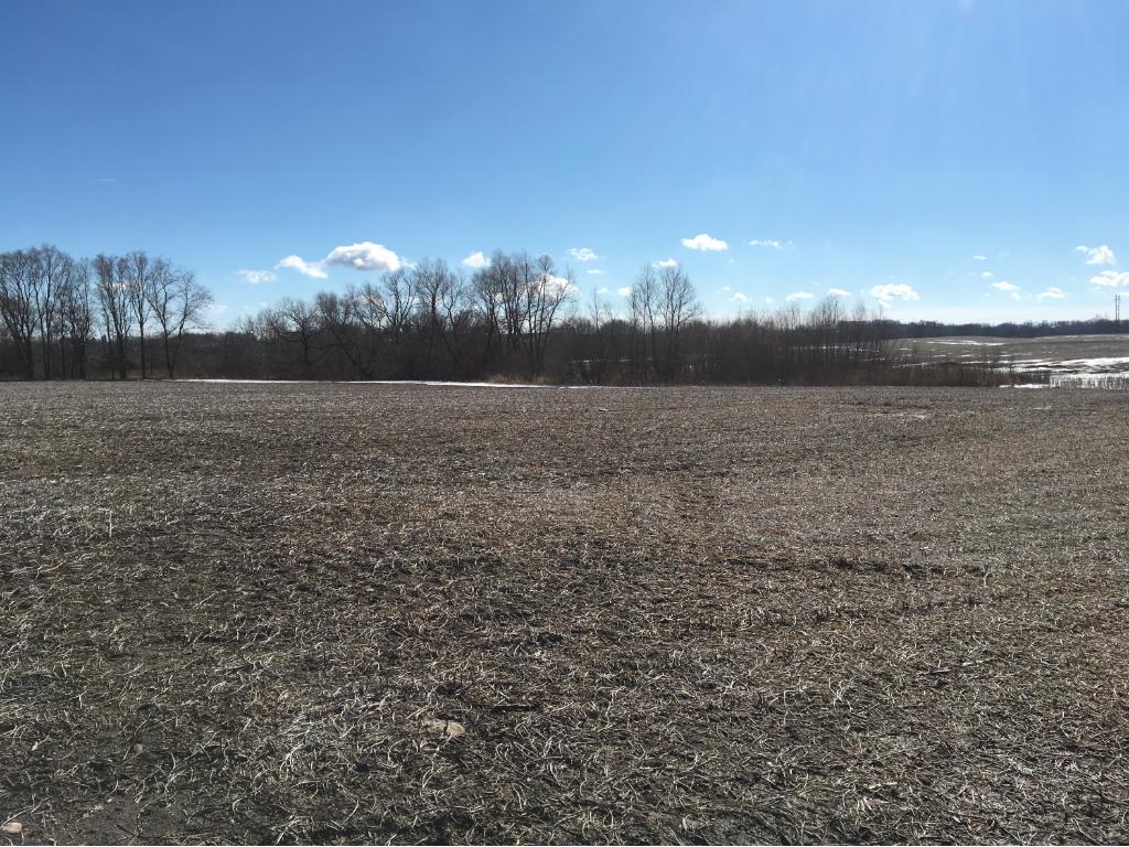 236RXXX Harris Trail, Morristown, MN 55052