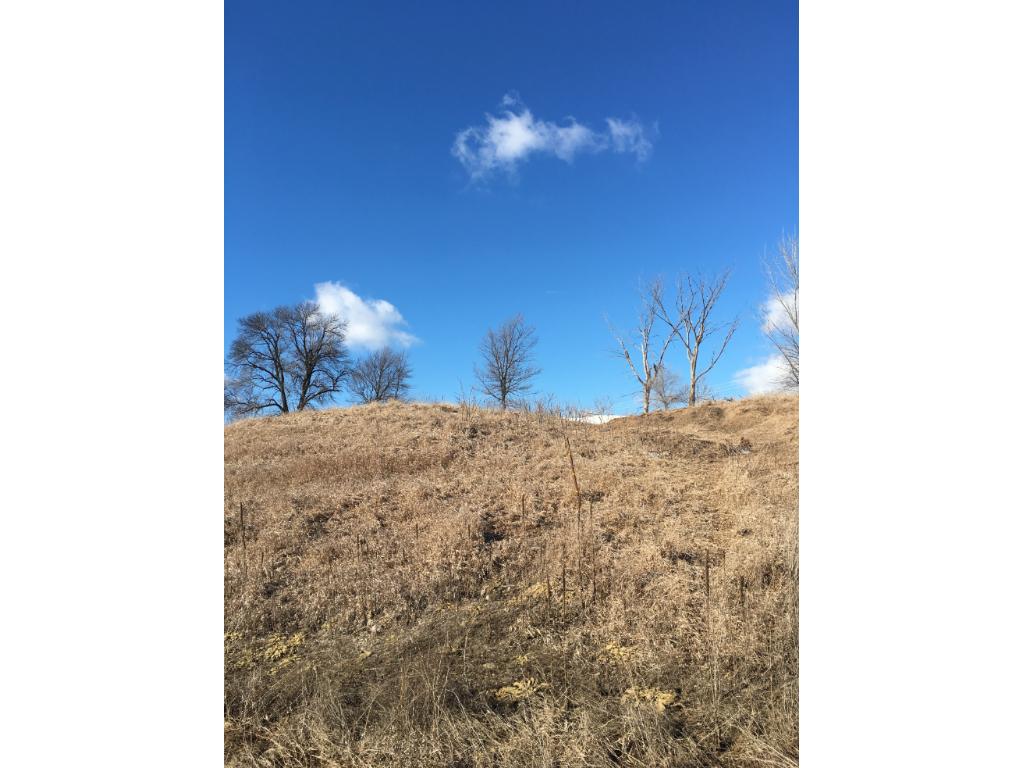 236LXXX Harris Trail, Morristown, MN 55052